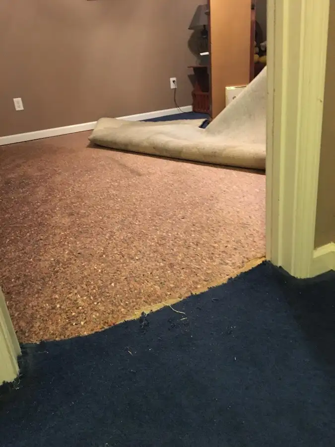 Carpet pad removal revealing water damage during Drying & Dehumidification in Mount Morris