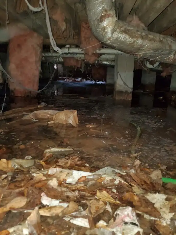 Crawl space flood assessment for Leak Detection & Repair in Mount Morris