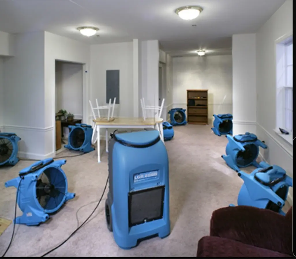 Air movers and dehumidifier setup for Water Extraction & Removal in Mount Morris