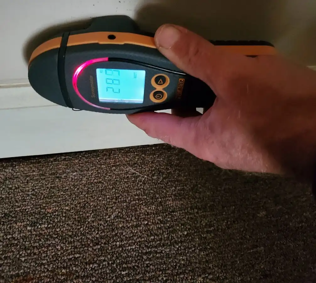 Moisture detection at baseboard during Sewage Cleanup & Sanitation in Mount Morris