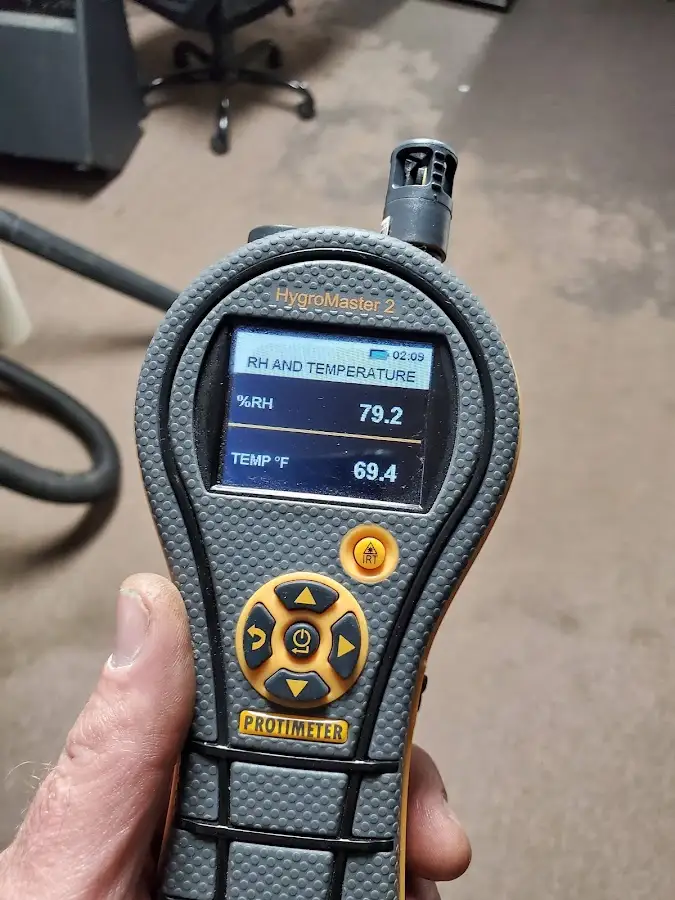 Moisture meter humidity assessment for Mold Remediation & Removal in Mount Morris