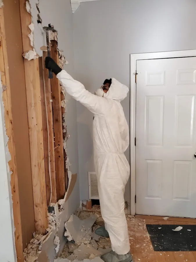 Mold Remediation & Removal in Mount Morris, MI